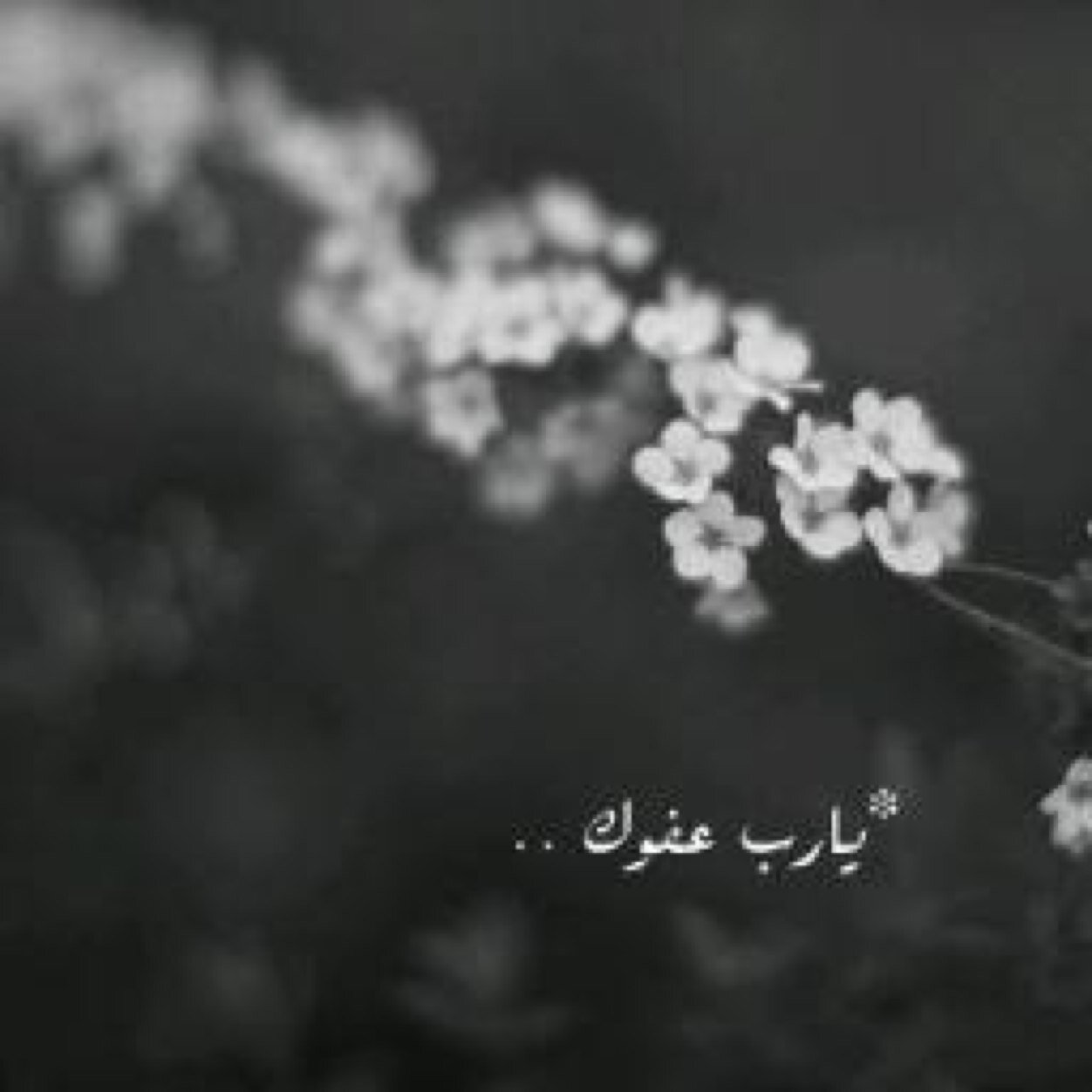 لستُ سوى روح ستقبض في اي لحظه ، اسالك يالله حسن الخاتمه .