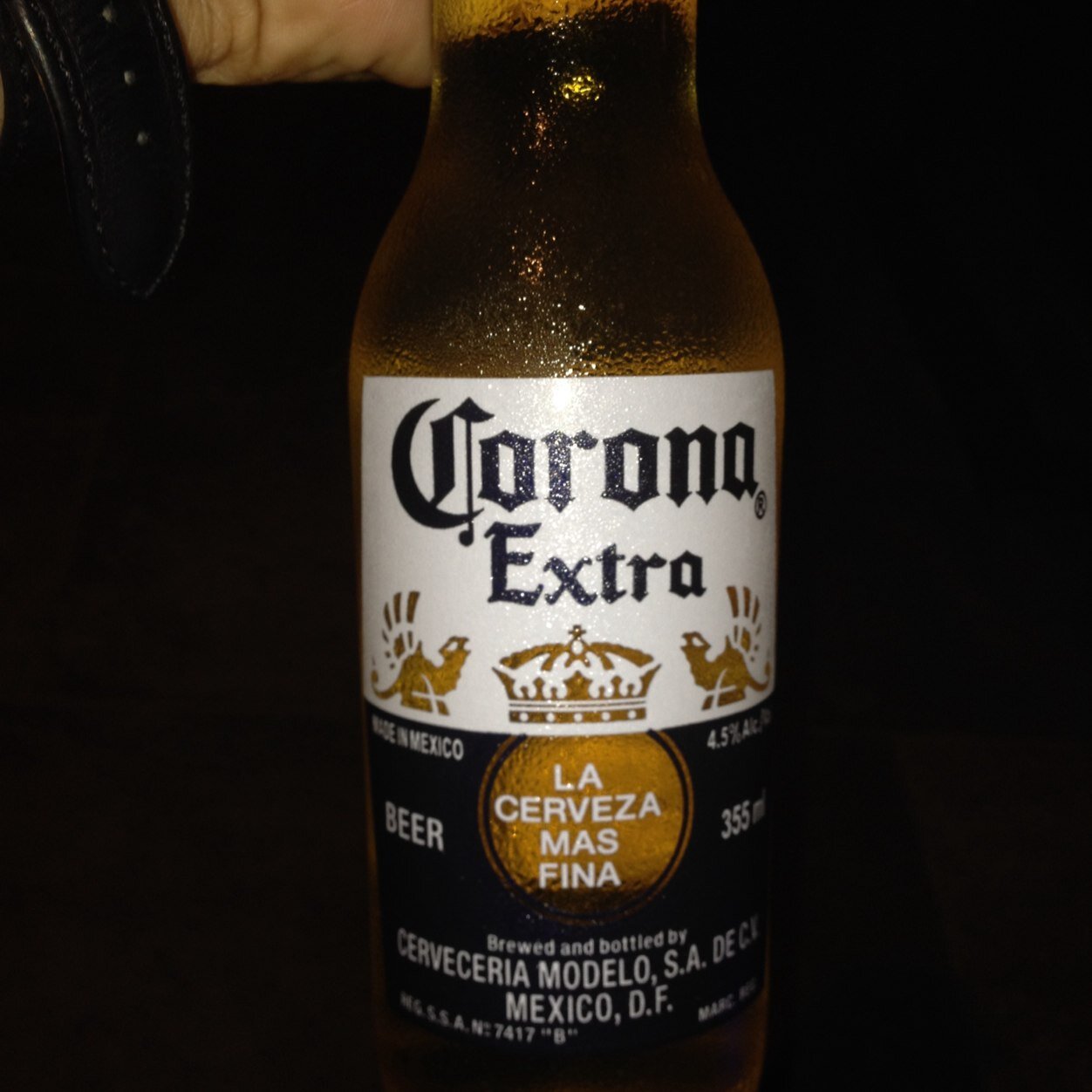 nobodyknowsXIII's profile picture. everybody wants to change the world but no one wants to die. wanna try?