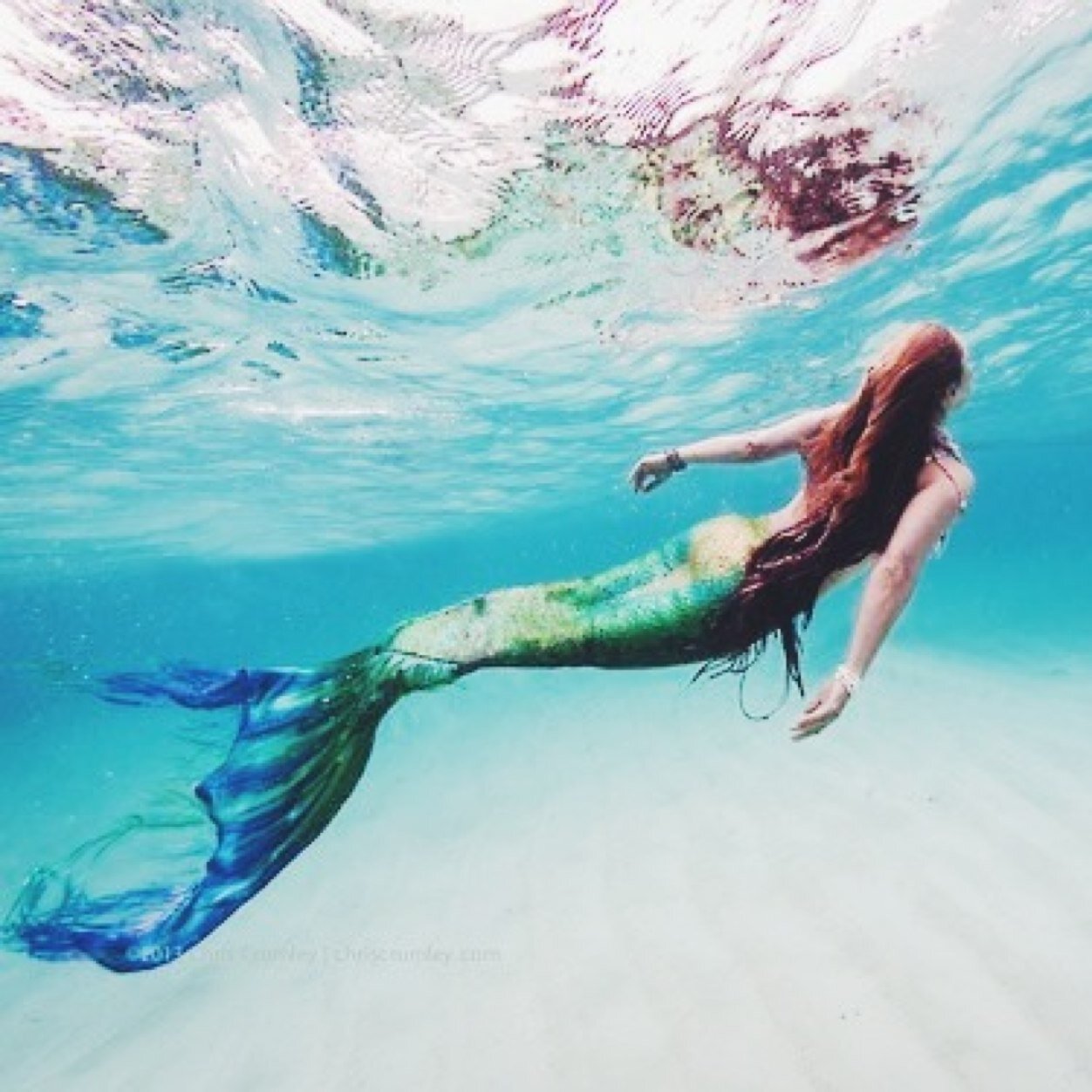 I'm a mermaid