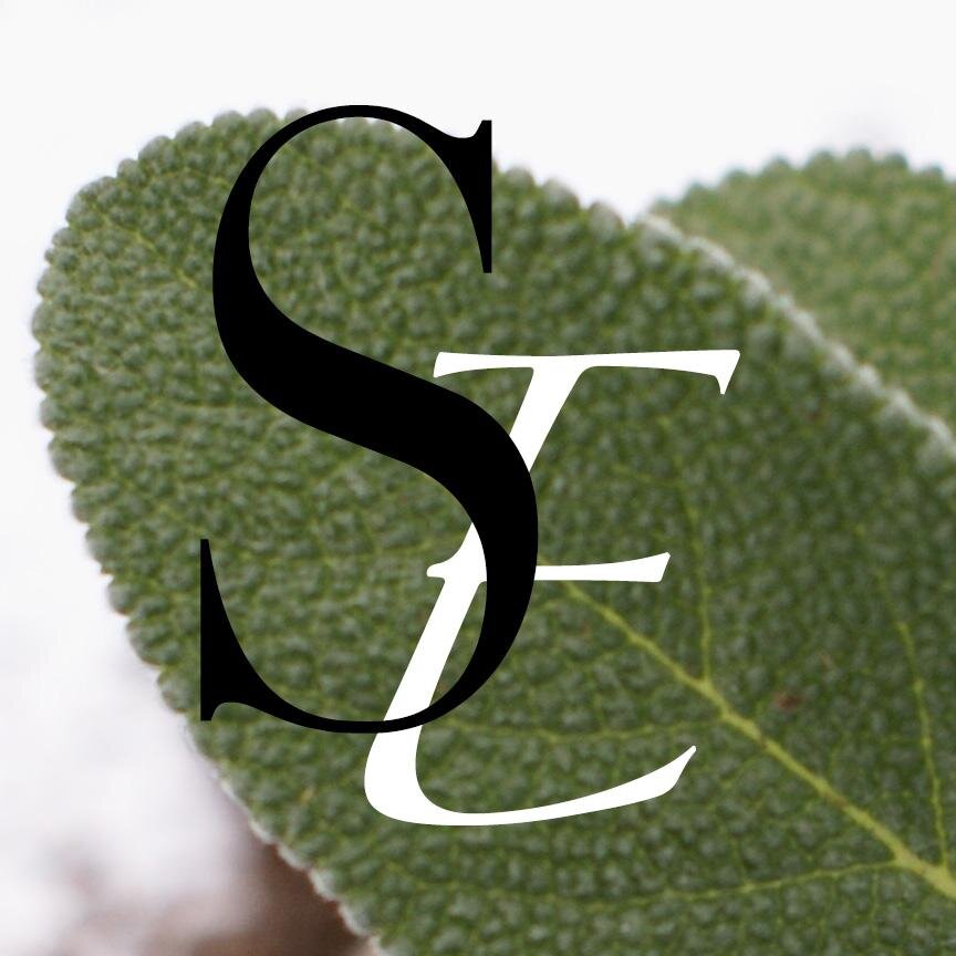 SageEnsemble's profile picture. We are an abstract classical music ensemble.