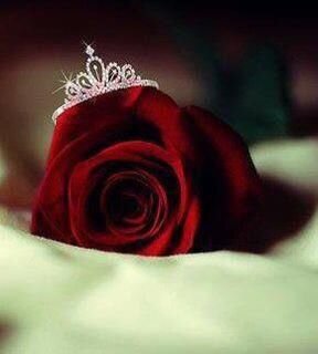 mawaddah_wr's profile picture. 