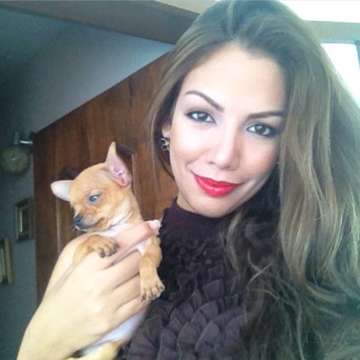 Miss Earth Yaracuy 2017- Rumbo al Miss Earth Venezuela 2017- Periodista