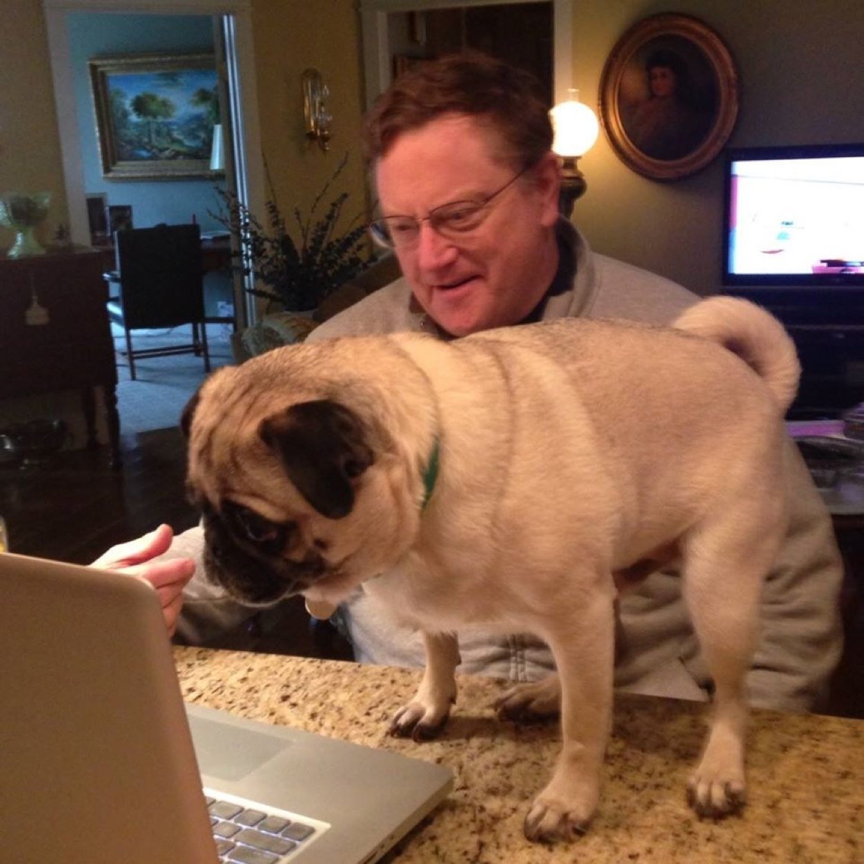 As to the adjective, when in doubt, leave it out. -- Mark Twain. BTW, in the photo, I'm not the four-legged one