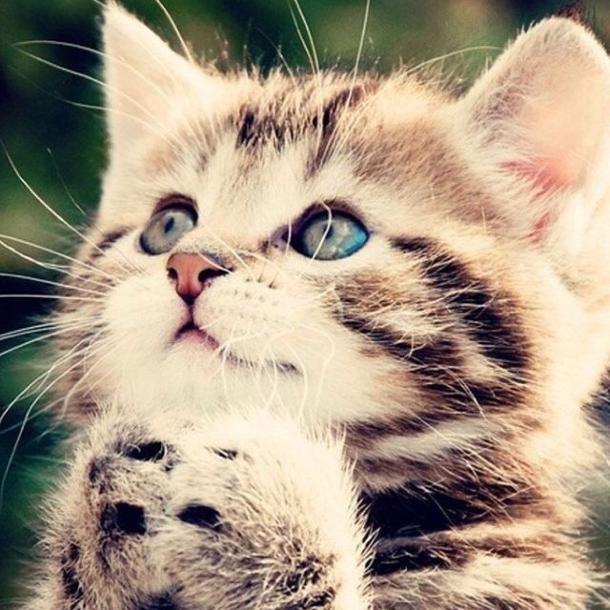 naminami358's profile picture. 