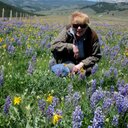 Anne Hays Egan - @AnneHaysNM - Twitter