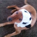 Alex Bencomo - @SKC_bencomo04 - Twitter