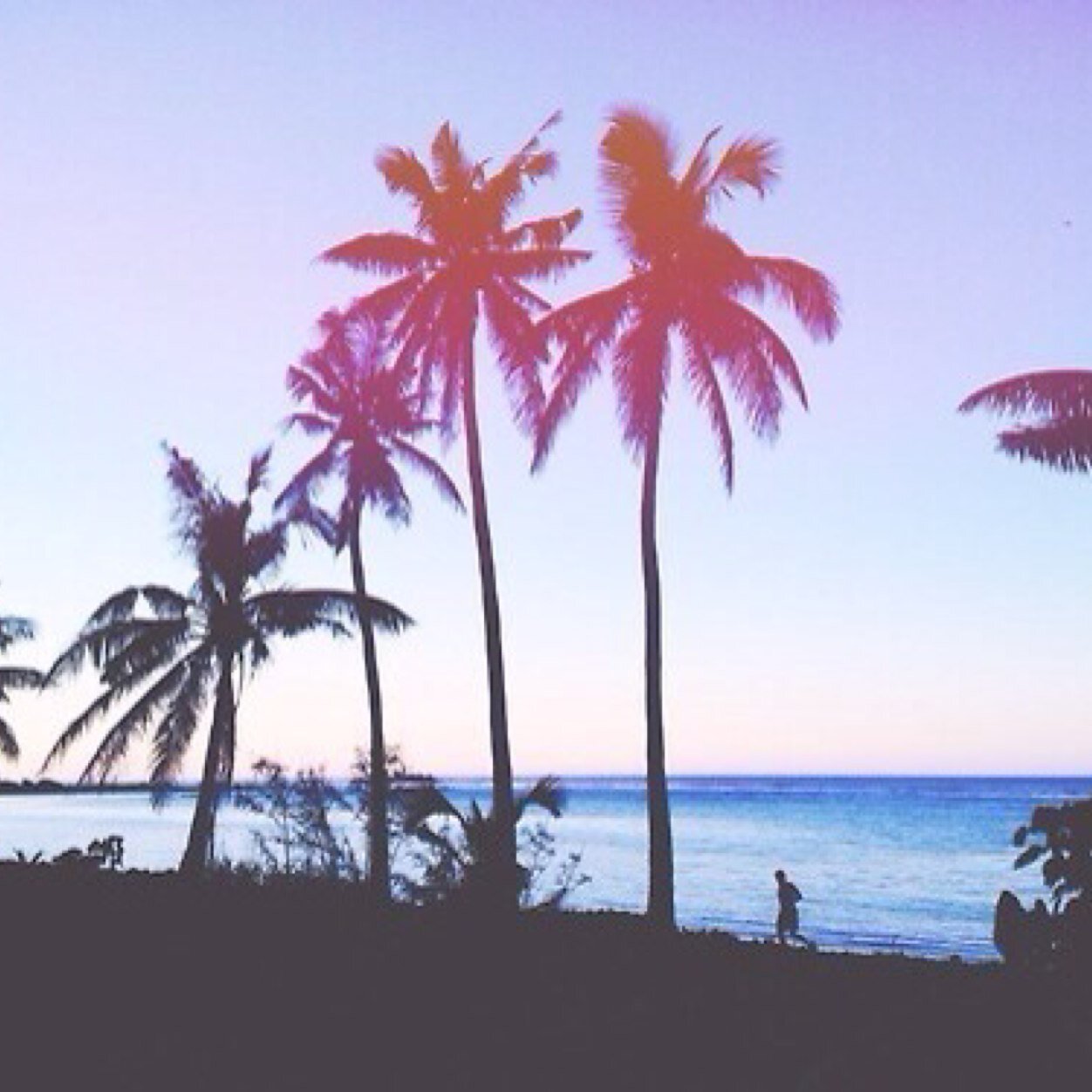 trxppysouls's profile picture. broken