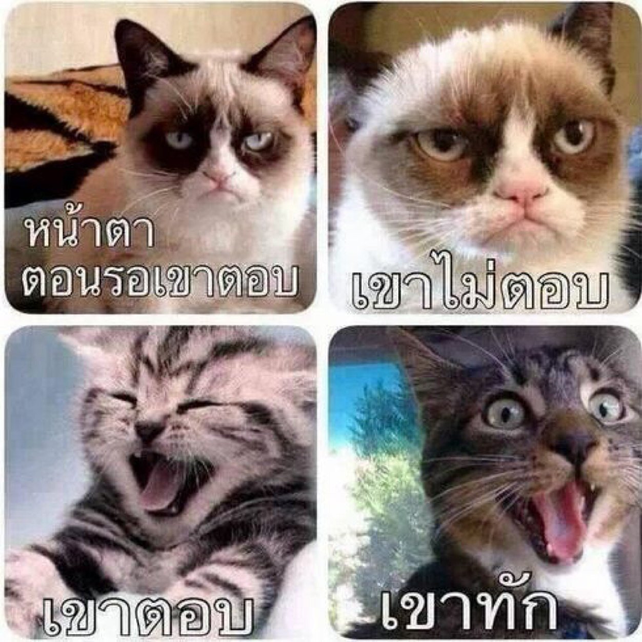 ชีวิตที่ไม่มีเธอน่ะ เราอยู่ไม่ได้จริงๆ TT