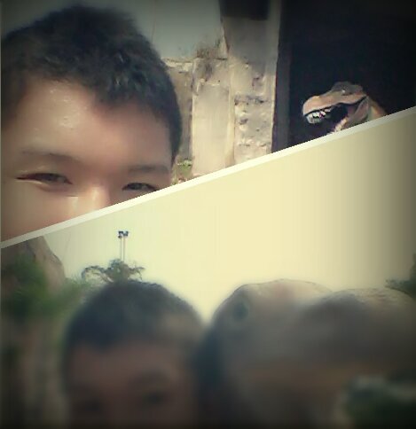 paylorties's profile picture. 