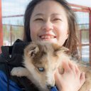 Anne Loft - @lofttravel - Twitter