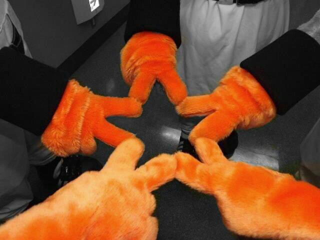 shio19990629's profile picture. 