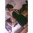 Profile Picture of ☯ (@@athenabrown_) on Twitter
