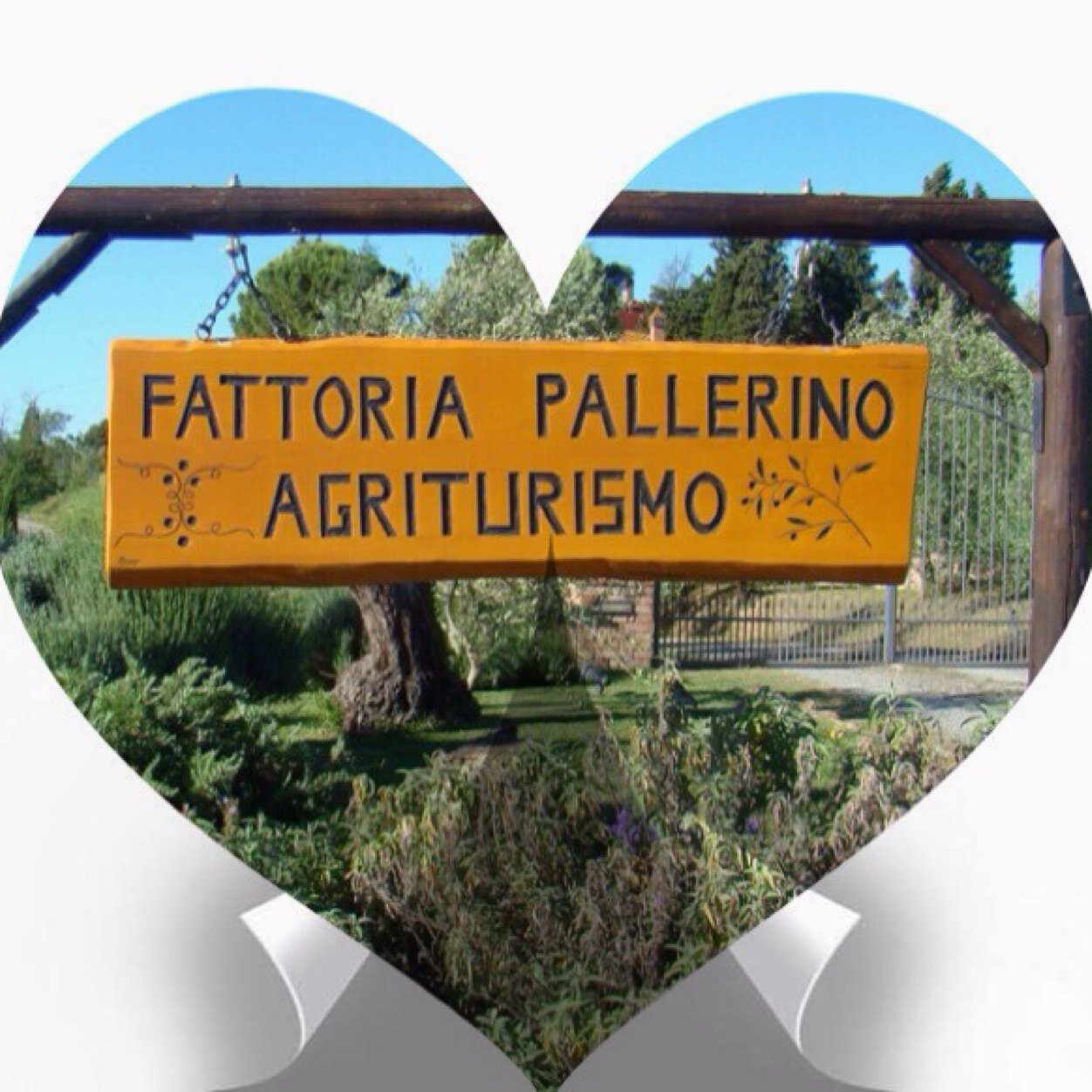Chianti Farm holidays. Relax, wellness, luxury, activities, nature in the heart of Tuscany. In Bio we trust. For booking: info@pallerino.com