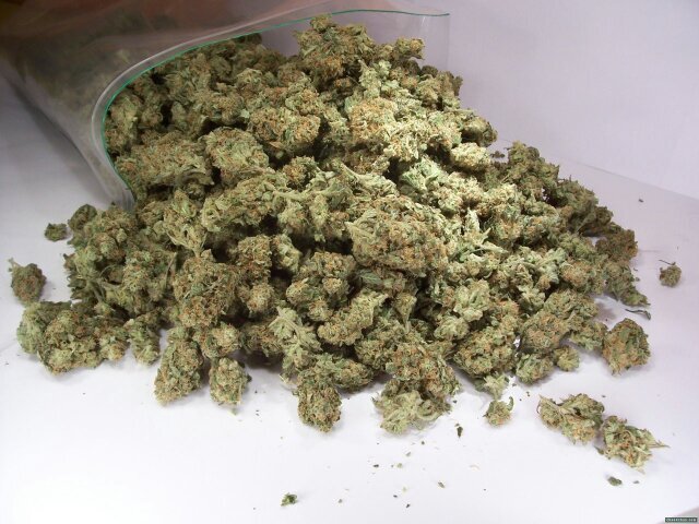 | Original Weed So Loud Account | | Submit Tweets To http://t.co/tLdxGpCXD7 |
