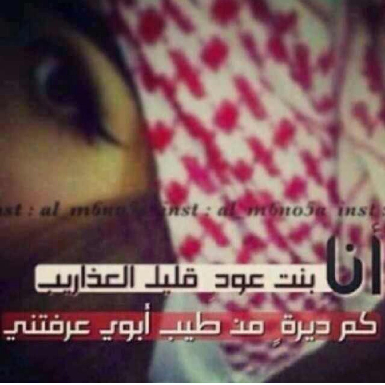 انثى وكفى  نجد العذيه