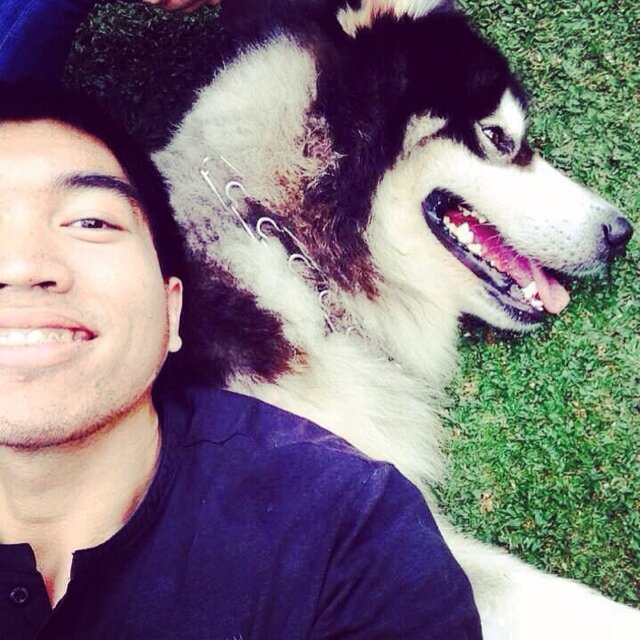 • Official twitter for Ezron Tarigan • Singer • Sport Lover • Real Madrid Fans • Miami Heat • Nikon User • Estonian Malamute Breeder •