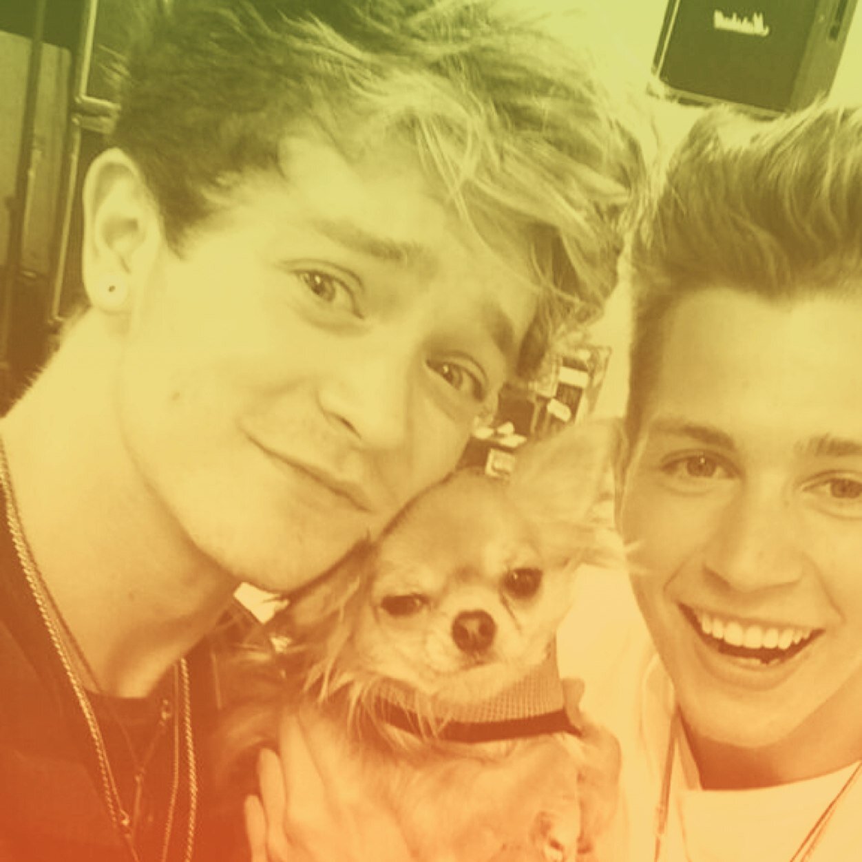 -ONE DIRECTION_____The vamps
