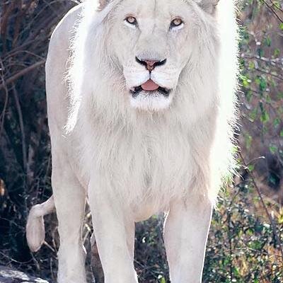 nexxx145ne1's profile picture. 