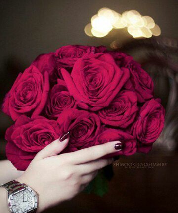 mtarer267605974 Profile Picture