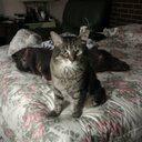 gregory poe - @gregory_poe - Twitter