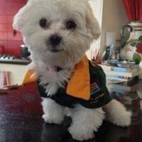 Mixa (@mikkisakki) 's Twitter Profile Photo