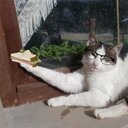 Dávid Mátyás - @MtysDvid - Twitter