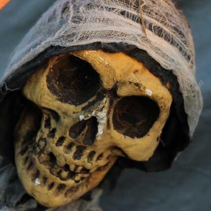 TerrorontheLake's profile picture. Terror on the Lake is a haunted house at Cagan Crossings town center. Located near 192 & 27.