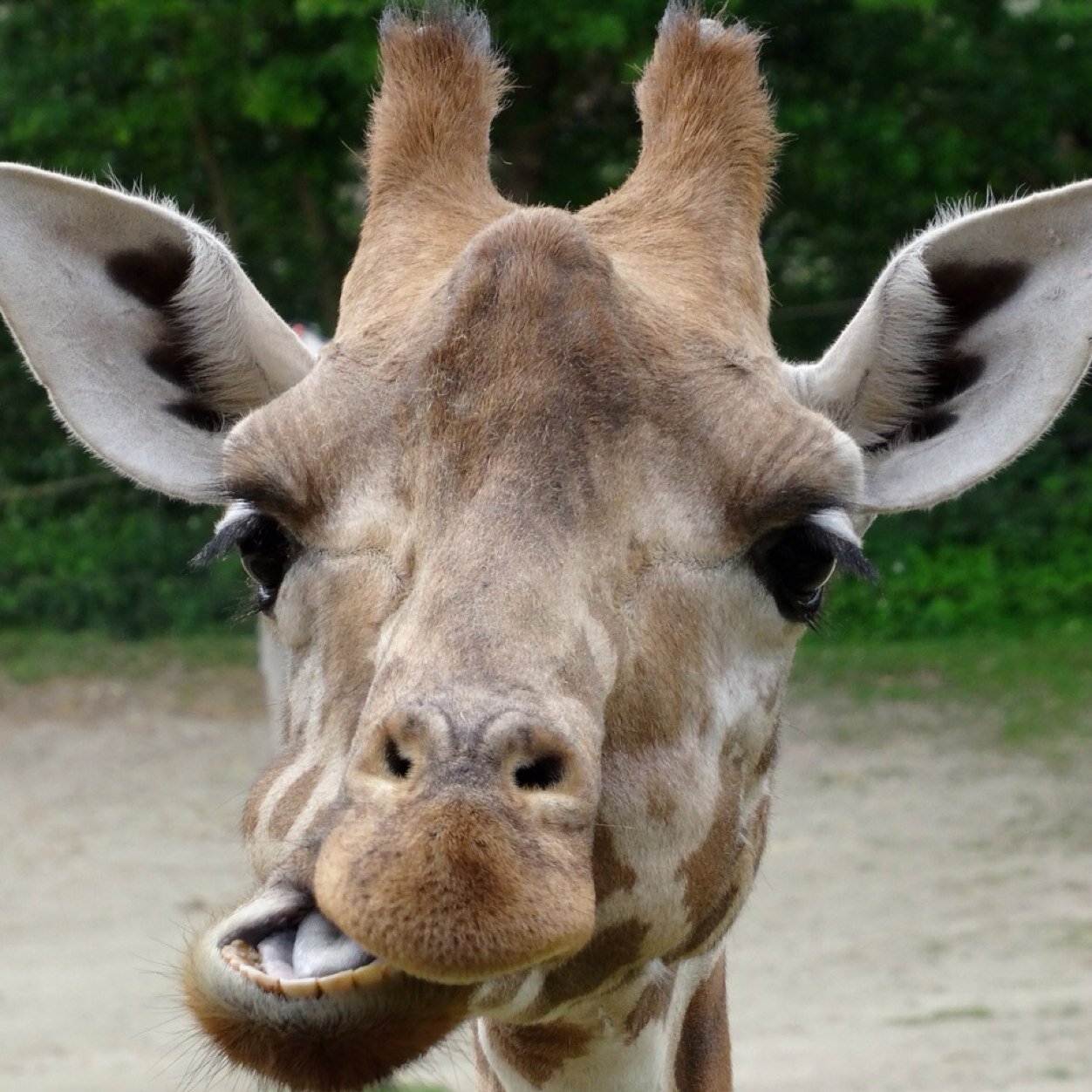 philipdewin's profile picture. 