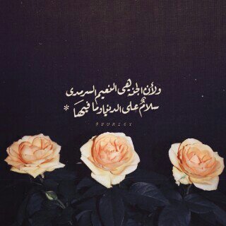 استغفر الله العظيم واتوب اليه                                                                                                        ج ن و ب ي ه