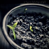 Ertug Mecik (@ertug_mecik) 's Twitter Profile