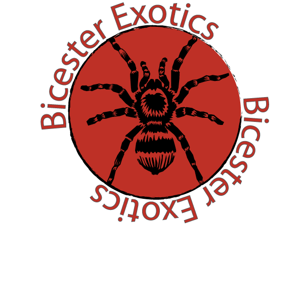An independent reptile pet store, specialising in spiders, reptiles and amphibians, located in Buckingham, Bucks, open 6 days a week; closed on Wednesdays.