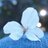 BBa_K1124yuta's profile image