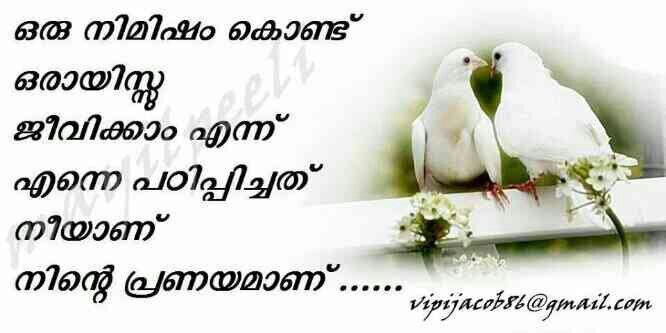 hi frnd open mind boy