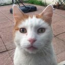 nathan gérard - @nathangrrd - Twitter