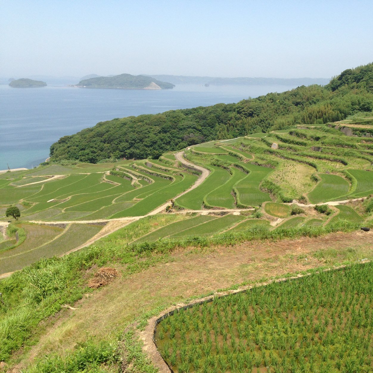 Japan