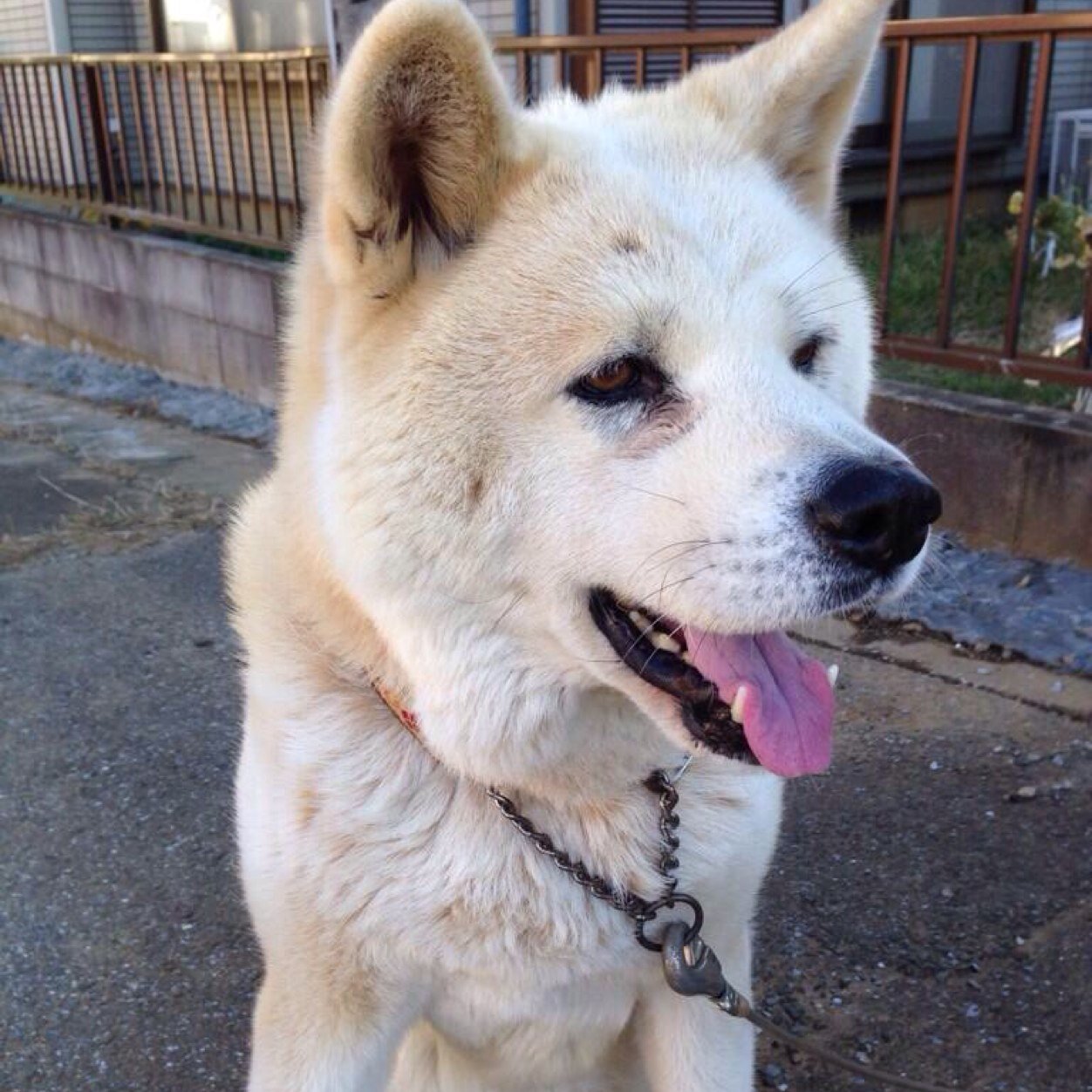 kekeke_sasuke's profile picture. 