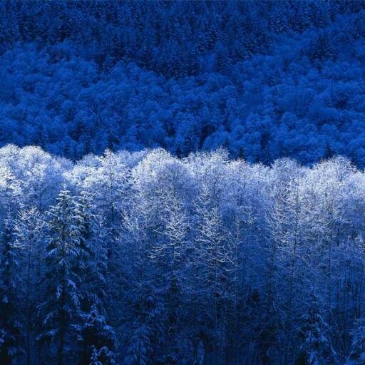 kurtorig's profile picture. 