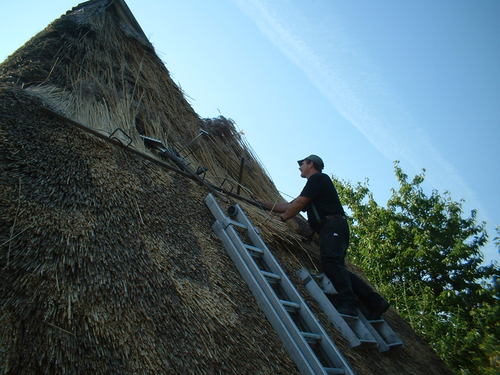 dereetdecker's profile picture. seit 1980 im Reetdachdckerhandwerk tätig.