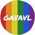 GAYAVL (@gayavlnc) Twitter profile photo