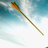 उड़ता तीर™ (@udtateer) 's Twitter Profile