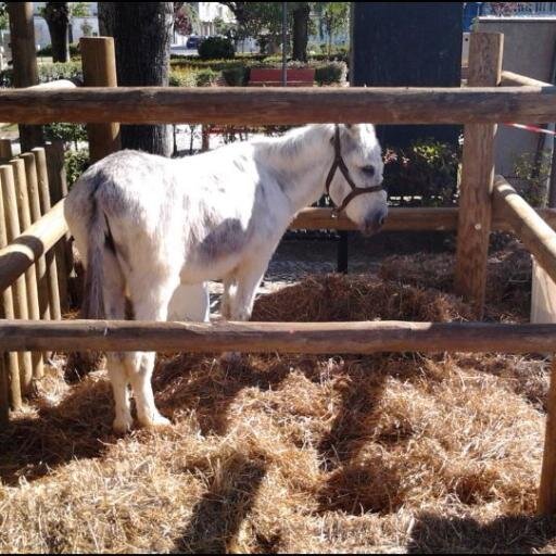 MontaMulas's profile picture. Monta Mulas