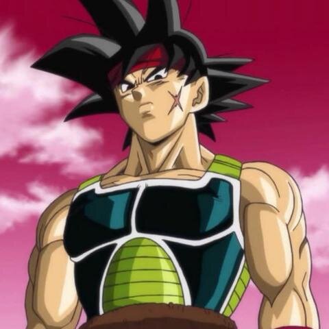 son of bardock