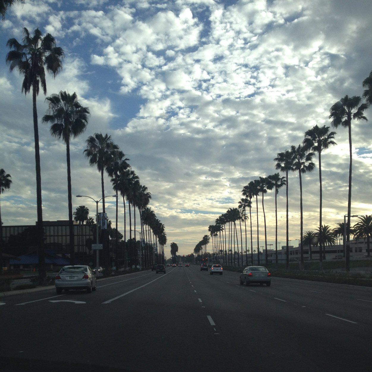 k_mullen1's profile picture. 