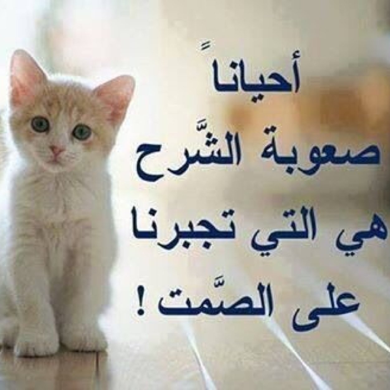 حسابي بالانستقرام lolol2014a