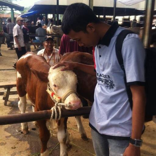tidak ada orang yang tak bisa yang ada hanya orang yang tidak mau