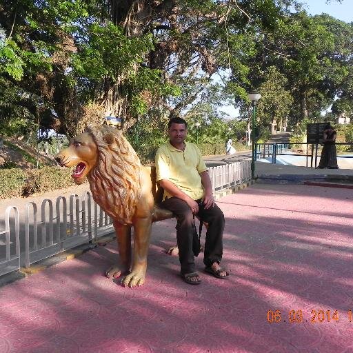 I am a Freelance (Hindi & English) language consultant offering high standards services: translations, interpreting, coaching & training.