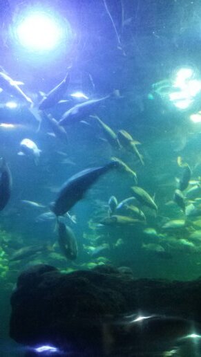 Rintis711's profile picture. Never give up