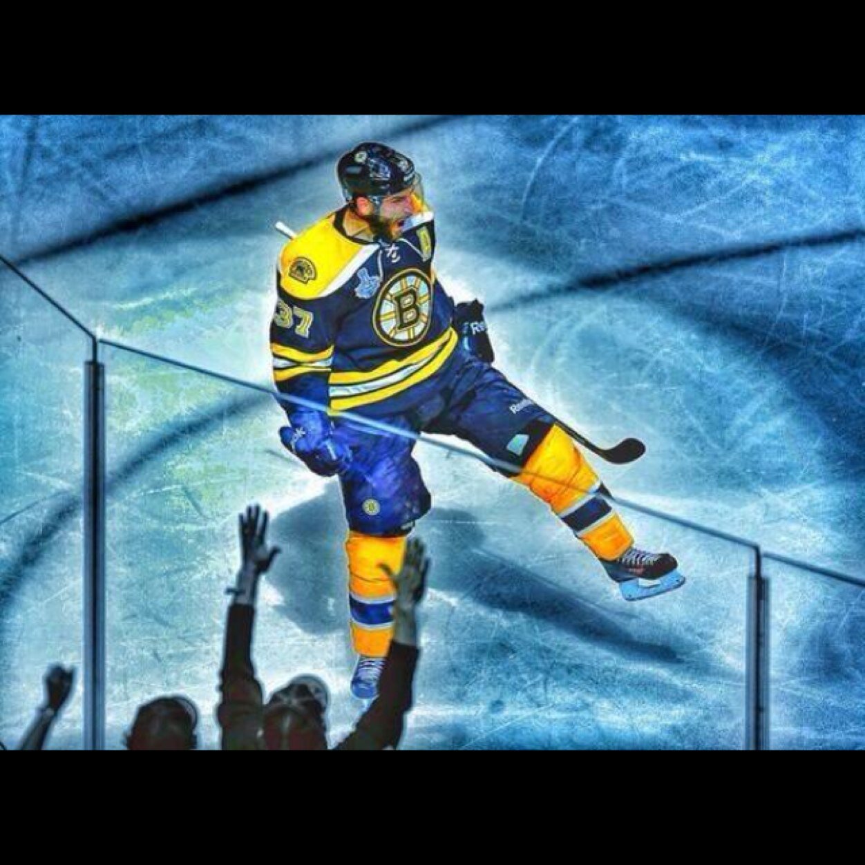 Die hard bruins fan | In a rink