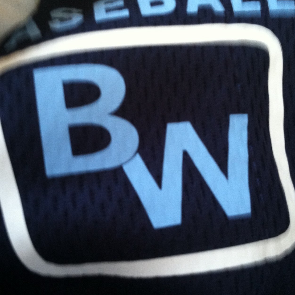 Account for recaps of the local Blue Wave 15u and 16u games.