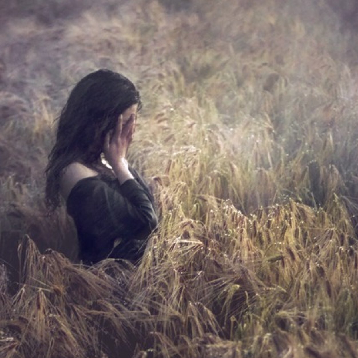 MiTempestad's profile picture. Humana en proceso de construcción.